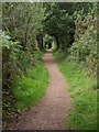 Milber Lane near Aller Park