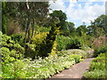 NY9070 : Chesters Walled Garden - west wall border by Mike Quinn