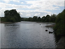 NY9166 : The River Tyne below Watersmeet by Mike Quinn