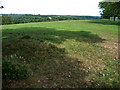 View from Nymans, gardens