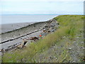 Foreshore at Avonmouth