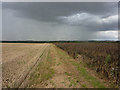 TM0678 : Footpath across open fields by Andrew Hill