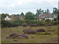 Heathland and houses at Wortham Ling