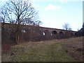 Bargeddie, Luggie Viaduct