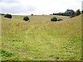 SU0623 : Sheep grazing, Croucheston Down by Maigheach-gheal