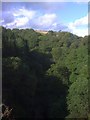 Wooded valley of Enterkin Burn, seen from the train