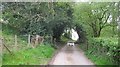 Gated road, Leysters