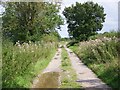 Bridleway, Purton Stoke