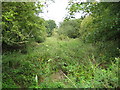 Halstead: Trackbed of the former Colne Valley Railway