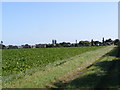 TL4453 : Fields & Houses on the A1301 Cambridge Road by Geographer