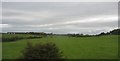 Farmland and barns at Tre-Ddafydd-uchaf Farm viewed from the railway viaduct