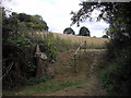 Very worn steps on footpath alongside Cornard Mere