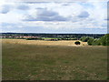 View from Kedington Hill toward Great Cornard