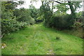 Llwybr i Ysgubor Hen - Path to Ysgubor Hen