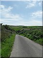 Road leading from Kingsbridge towards Blanksmill bridge