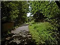 The Trans Pennine Trail Selby to York cycleway crossing Naburn Lane