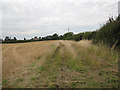 Cottesmore: former ironstone quarries