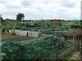 Allotments