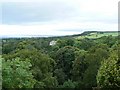 Mansion in the trees