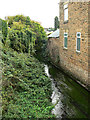 River Leen