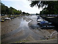 Kingsbridge: looking down the quay