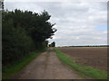 Track to Thorpe Grange Farm