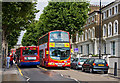 Passing Buses on Cambridge Avenue