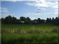 Fields towards Sutton Nurseries