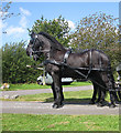 ST5660 : Magnificent pair of black horses by Pauline E