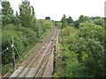 Harlow: Railway line to Cambridge and Stansted Airport