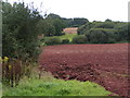 SS9002 : Ploughed field at the foot of Raddon Hill, looking south by Rob Purvis