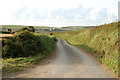 Looking north on the road to Tregirls Farm