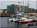 Ipswich marina