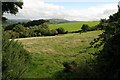 Field below Meldon Hill