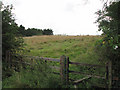 Woolsthorpe: former ironstone quarry