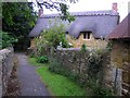 Thatched cottage along narrow path, Ilmington