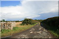 Track to Capps Lodge farm