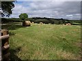 Bales by Stiniel Cross