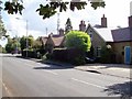 Cottages on the Upper Chobham Road