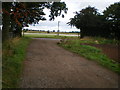 The end of the track at Ercall Heath