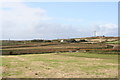 Field at Carn Glaze Farm