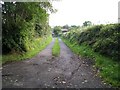 Farm lane leading off Tollymore Road