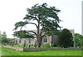 Great Bedwyn Churchyard