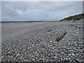 Driftwood on the beach