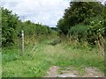 Bridleway near Chilbridge Farm