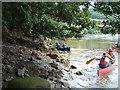 Ducks being rescued on River Conwy