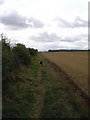 The Ferry Road, Path on Ferneyhill Farm