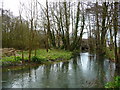 Wickham - The River Meon