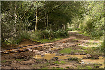 SU2705 : Warwickslade Cutting: laying the railway by Peter Facey