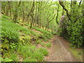 South West Coast Path above Woody Bay